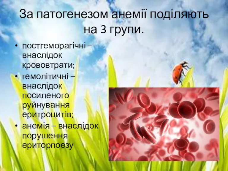 За патогенезом анемії поділяють на 3 групи. постгеморагічні – внаслідок крововтрати; гемолітичні