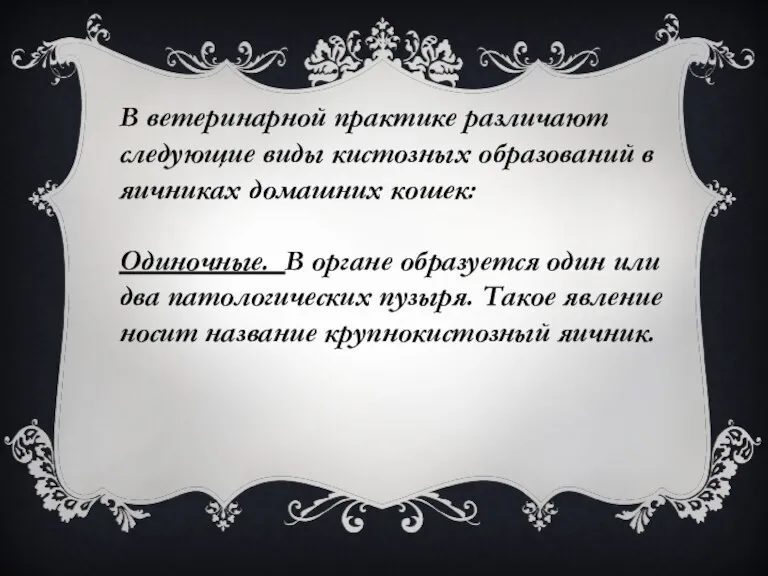 В ветеринарной практике различают следующие виды кистозных образований в яичниках домашних кошек: