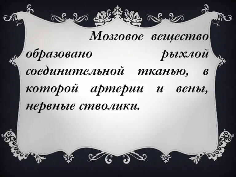 Мозговое вещество образовано рыхлой соединительной тканью, в которой артерии и вены, нервные стволики.