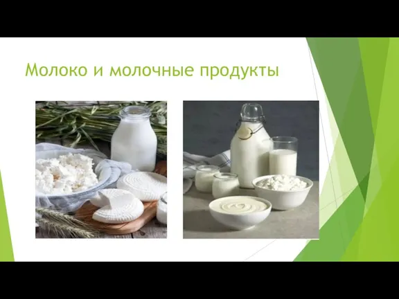 Молоко и молочные продукты