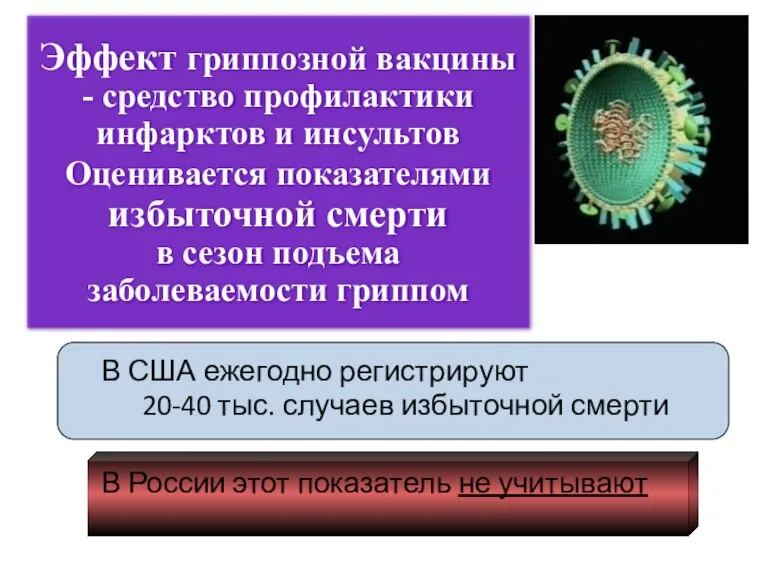 Эффект гриппозной вакцины - средство профилактики инфарктов и инсультов Оценивается показателями избыточной