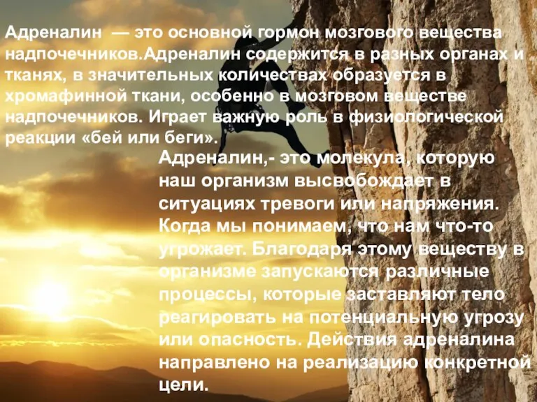 Адреналин — это основной гормон мозгового вещества надпочечников.Адреналин содержится в разных органах