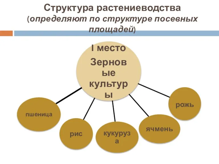 Структура растениеводства (определяют по структуре посевных площадей)