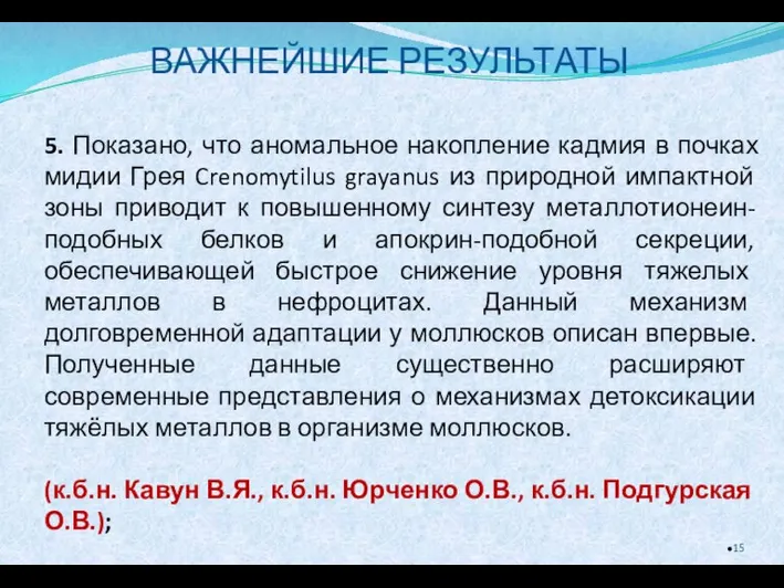 ВАЖНЕЙШИЕ РЕЗУЛЬТАТЫ 5. Показано, что аномальное накопление кадмия в почках мидии Грея