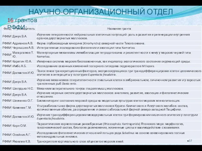 НАУЧНО-ОРГАНИЗАЦИОННЫЙ ОТДЕЛ 16 грантов РФФИ: