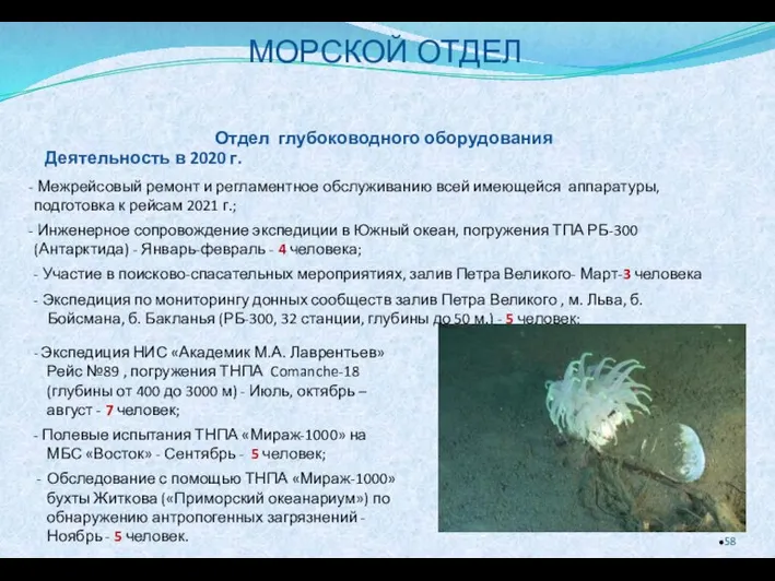 Отдел глубоководного оборудования - Экспедиция НИС «Академик М.А. Лаврентьев» Рейс №89 ,