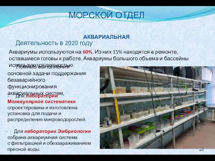 АКВАРИАЛЬНАЯ - Для лаборатории Молекулярной систематики спроектирована и изготовлена установка для подачи