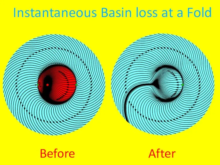 Instantaneous Basin loss at a Fold Before After