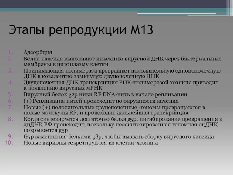 Этапы репродукции М13 Адсорбция Белки капсида выполняют инъекцию вирусной ДНК через бактериальные