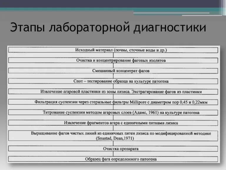 Этапы лабораторной диагностики