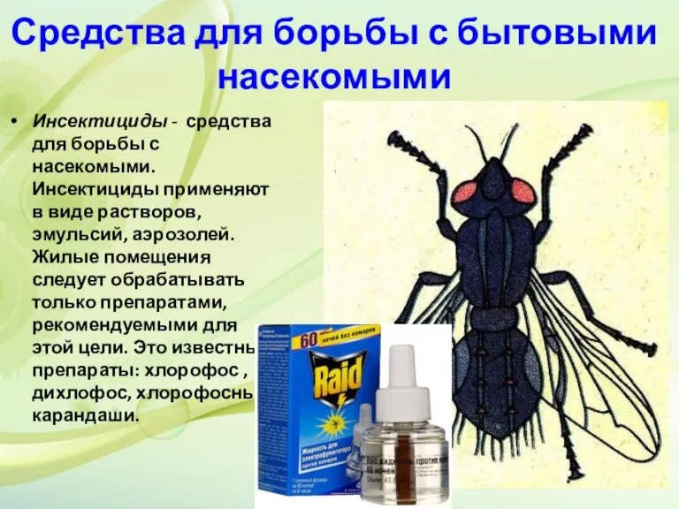Средства для борьбы с бытовыми насекомыми Инсектициды - средства для борьбы с