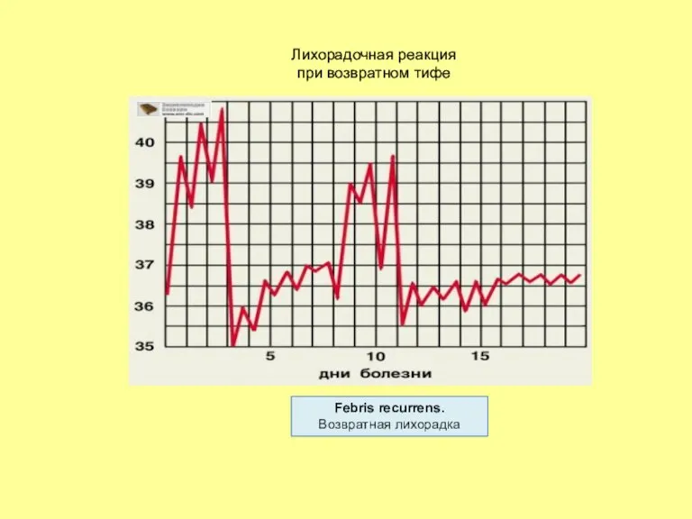 Лихорадочная реакция при возвратном тифе Febris recurrens. Возвратная лихорадка