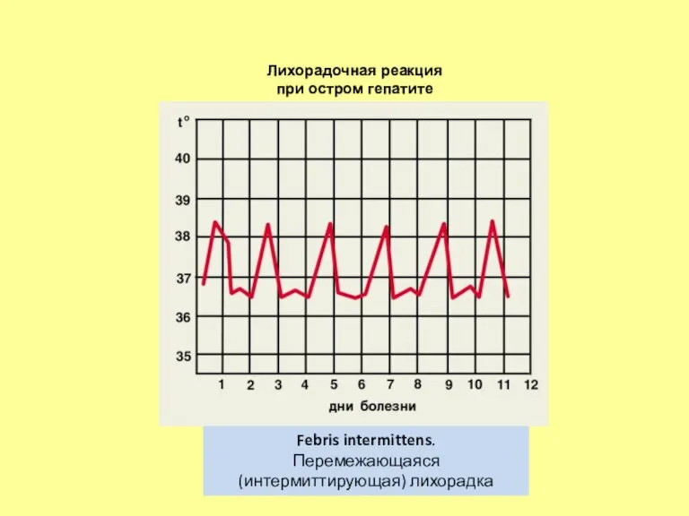 Febris intermittens. Перемежающаяся (интермиттирующая) лихорадка Лихорадочная реакция при остром гепатите