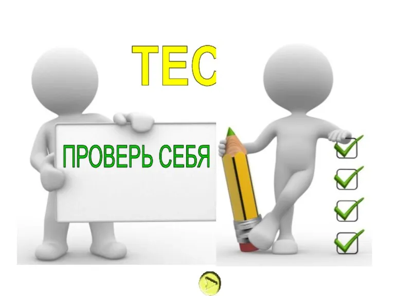 ПРОВЕРЬ СЕБЯ ТЕСТ