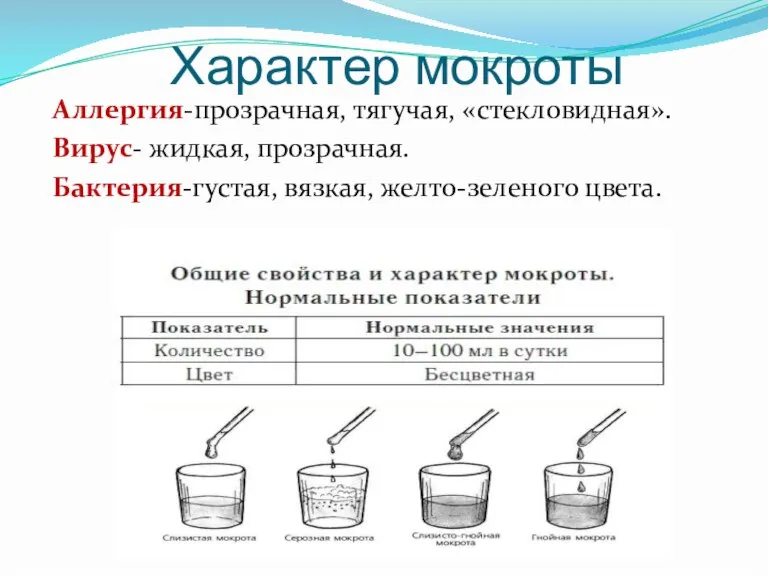 Характер мокроты Аллергия-прозрачная, тягучая, «стекловидная». Вирус- жидкая, прозрачная. Бактерия-густая, вязкая, желто-зеленого цвета.