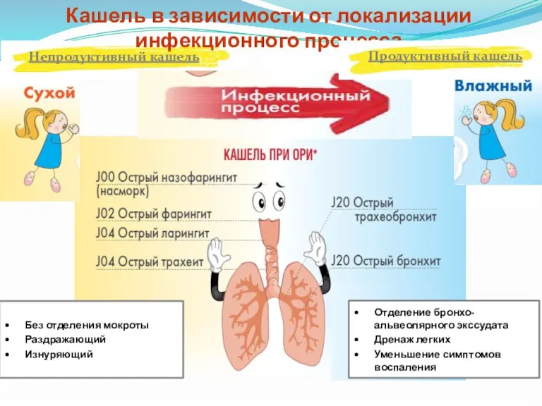 Кашель в зависимости от локализации инфекционного процесса Непродуктивный кашель Без отделения мокроты