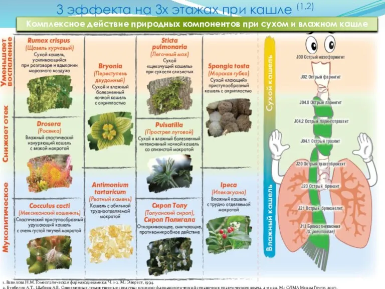 3 эффекта на 3х этажах при кашле (1,2) Комплексное действие природных компонентов