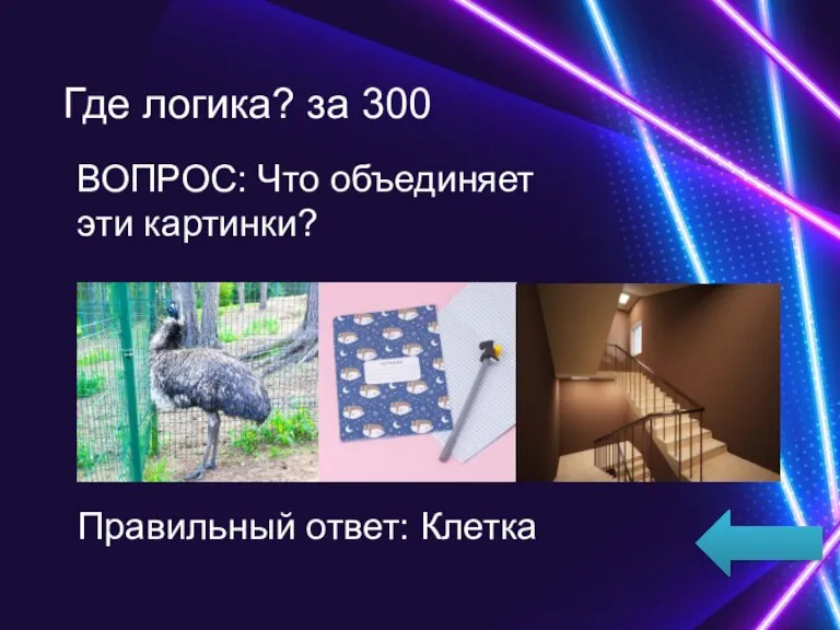 «КАТЕГОРИЯ 4» за 50 ВОПРОС: … Правильный ответ: Где логика? за 300