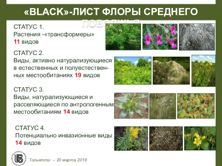 «BLACK»-ЛИСТ ФЛОРЫ СРЕДНЕГО ПОВОЛЖЬЯ Тольятти – 20 марта 2018 СТАТУС 1. Растения