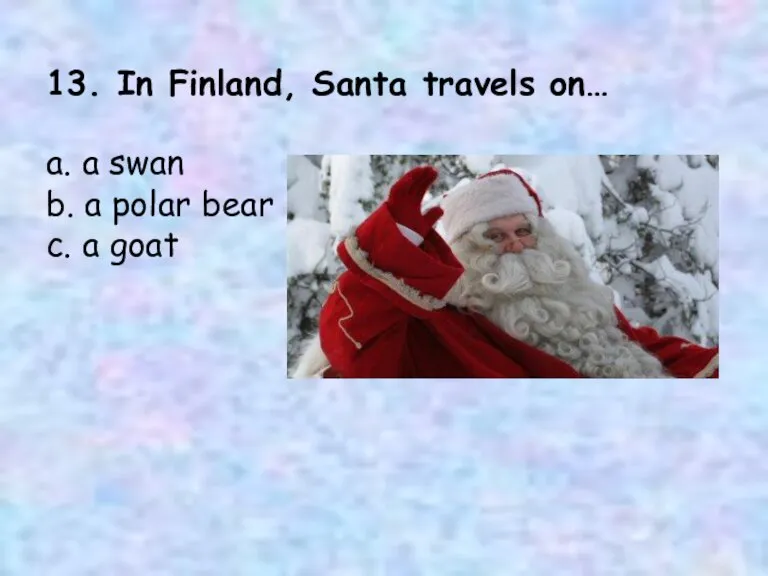 13. In Finland, Santa travels on… a. a swan b. a polar bear c. a goat