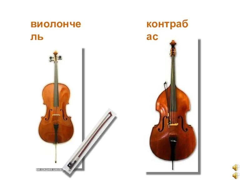 виолончель контрабас Самойлова Татьяна Петровна ГУ «Общеобразовательная средняя школа № 11», Зыряновский район, г. Зыряновск, Казахстан.