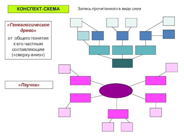 КОНСПЕКТ-СХЕМА Запись прочитанного в виде схем «Генеалогическое древо» от общего понятия к