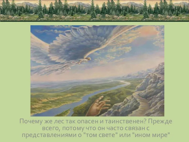 Почему же лес так опасен и таинственен? Прежде всего, потому что он