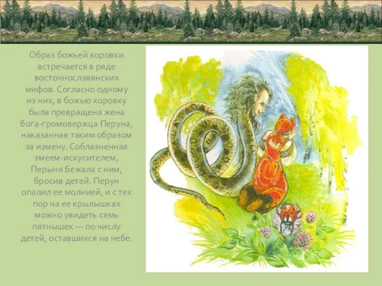 Образ божьей коровки встречается в ряде восточнославянских мифов. Согласно одному из них,