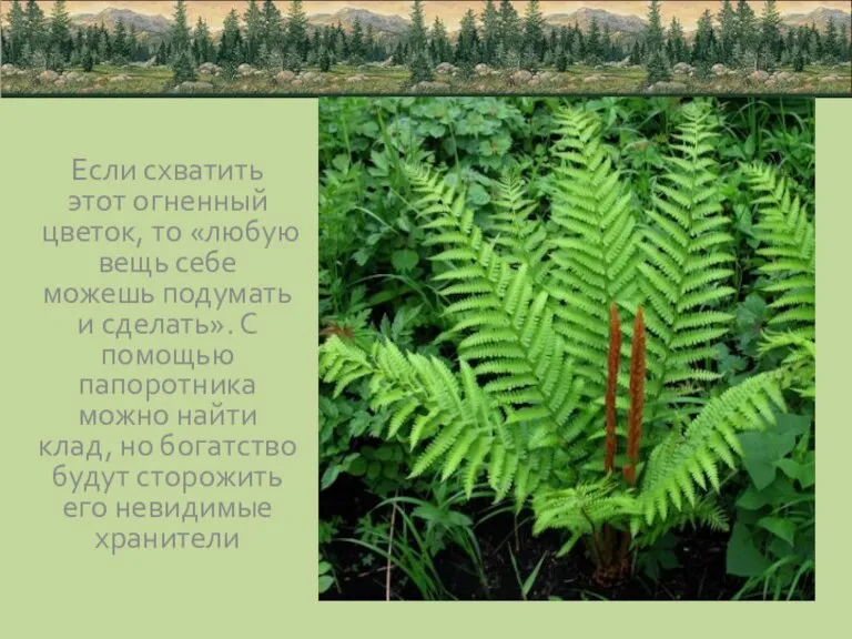 Если схватить этот огненный цветок, то «любую вещь себе можешь подумать и