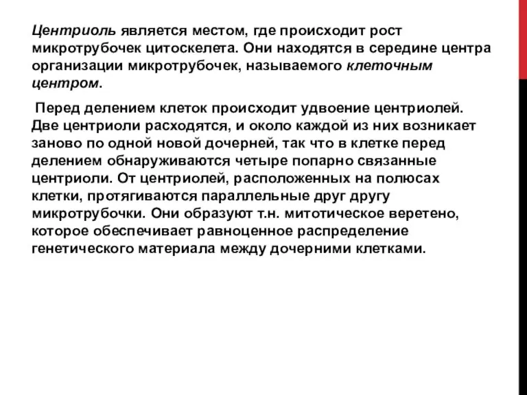 Центриоль является местом, где происходит рост микротрубочек цитоскелета. Они находятся в середине