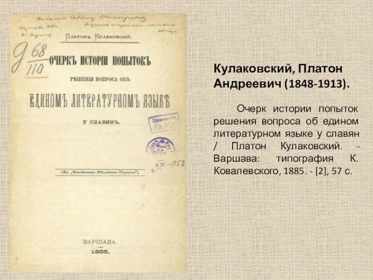 Кулаковский, Платон Андреевич (1848-1913). Очерк истории попыток решения вопроса об едином литературном