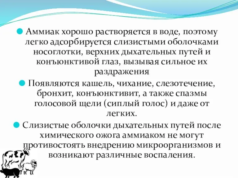 Аммиак хорошо растворяется в воде, поэтому легко адсорбируется слизистыми оболочками носоглотки, верхних