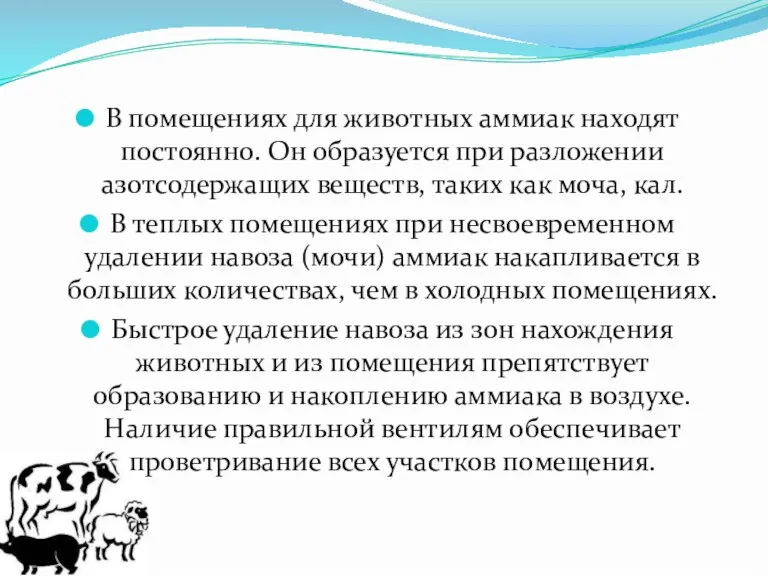 В помещениях для животных аммиак находят постоянно. Он образуется при разложении азотсодержащих