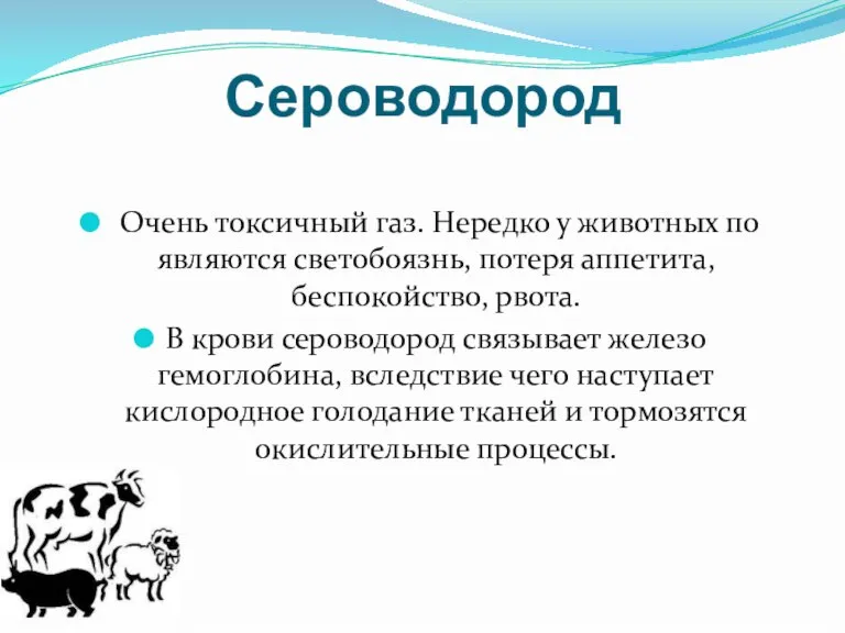 Сероводород Очень токсичный газ. Нередко у животных по являются светобоязнь, потеря аппетита,