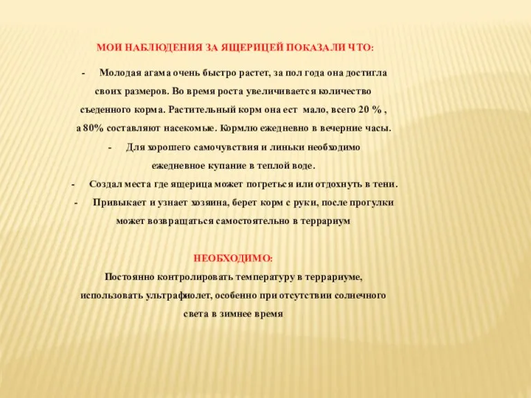 МОИ НАБЛЮДЕНИЯ ЗА ЯЩЕРИЦЕЙ ПОКАЗАЛИ ЧТО: Молодая агама очень быстро растет, за