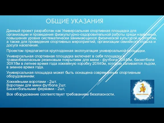 ОБЩИЕ УКАЗАНИЯ Данный проект разработан как Универсальная спортивная площадка для организации и