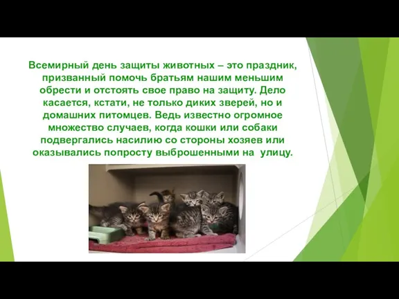 Всемирный день защиты животных – это праздник, призванный помочь братьям нашим меньшим