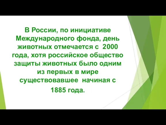 В России, по инициативе Международного фонда, день животных отмечается с 2000 года,