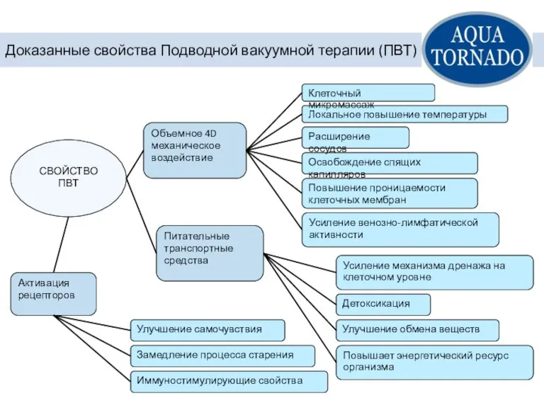 СВОЙСТВО ПВТ Объемное 4D механическое воздействие Питательные транспортные средства Активация рецепторов Усиление