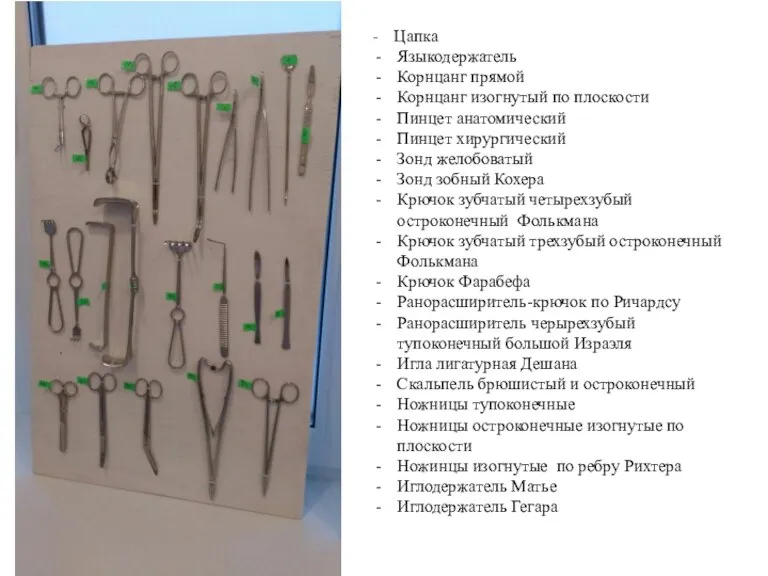 - Цапка Языкодержатель Корнцанг прямой Корнцанг изогнутый по плоскости Пинцет анатомический Пинцет