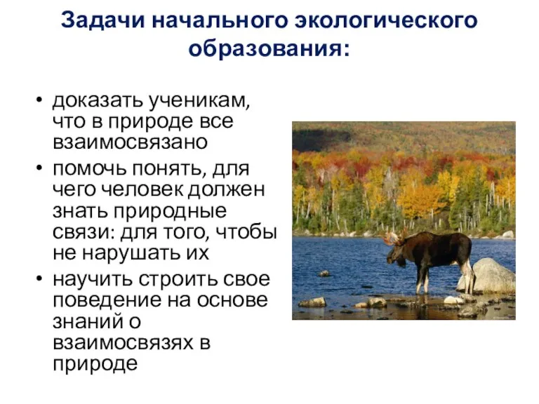 Задачи начального экологического образования: доказать ученикам, что в природе все взаимосвязано помочь