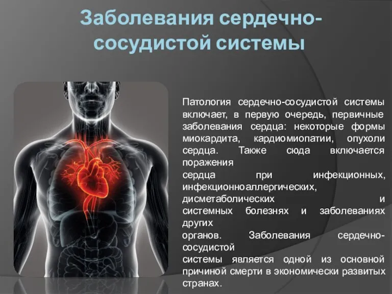 Заболевания сердечно-сосудистой системы Патология сердечно-сосудистой системы включает, в первую очередь, первичные заболевания