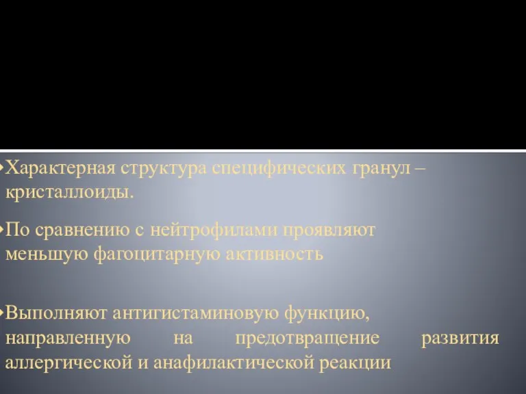 По сравнению с нейтрофилами проявляют меньшую фагоцитарную активность Характерная структура специфических гранул