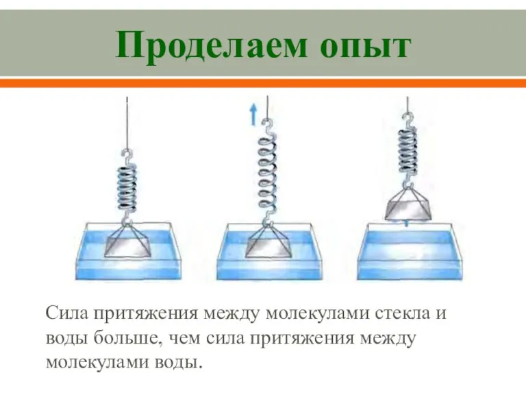 Проделаем опыт Сила притяжения между молекулами стекла и воды больше, чем сила притяжения между молекулами воды.