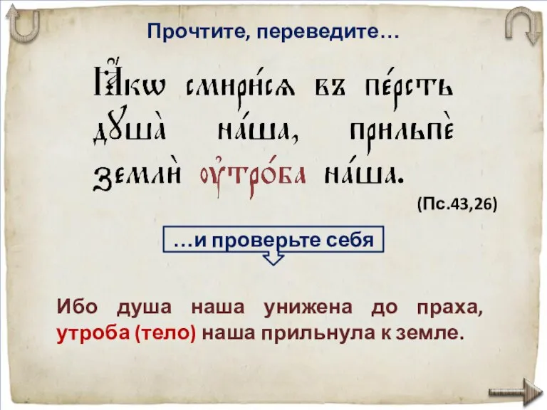 Прочтите, переведите… Ибо душа наша унижена до праха, утроба (тело) наша при­льнула