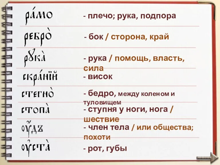 - рука / помощь, власть, сила - висок - бедро, между коленом