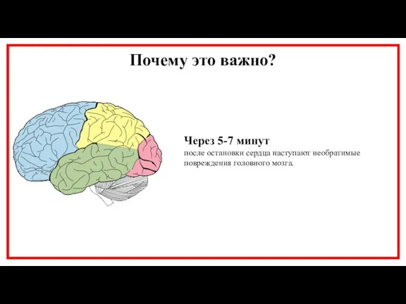 Почему это важно? Через 5-7 минут после остановки сердца наступают необратимые повреждения головного мозга.