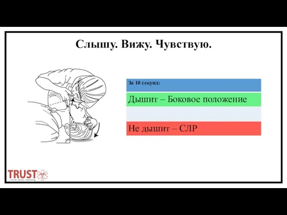 Слышу. Вижу. Чувствую.