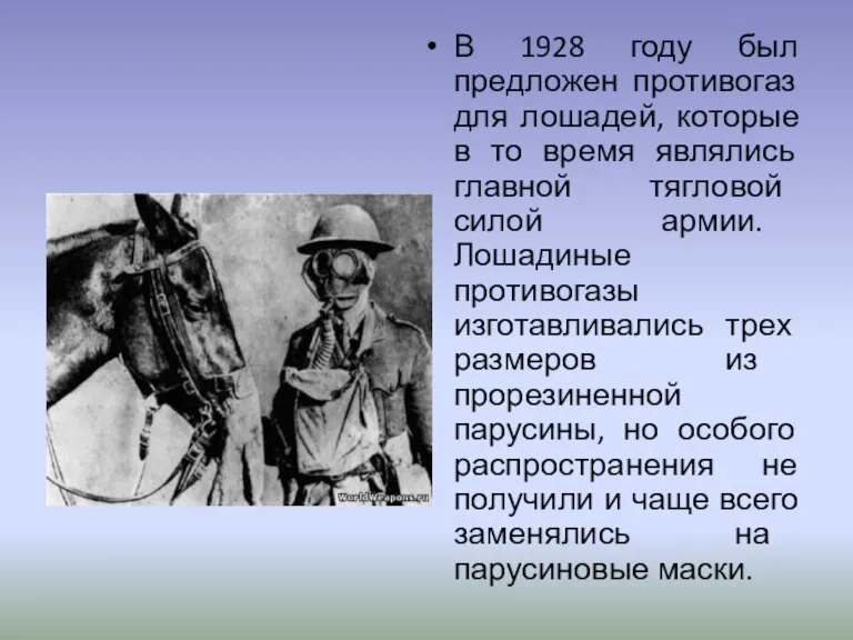 В 1928 году был предложен противогаз для лошадей, которые в то время