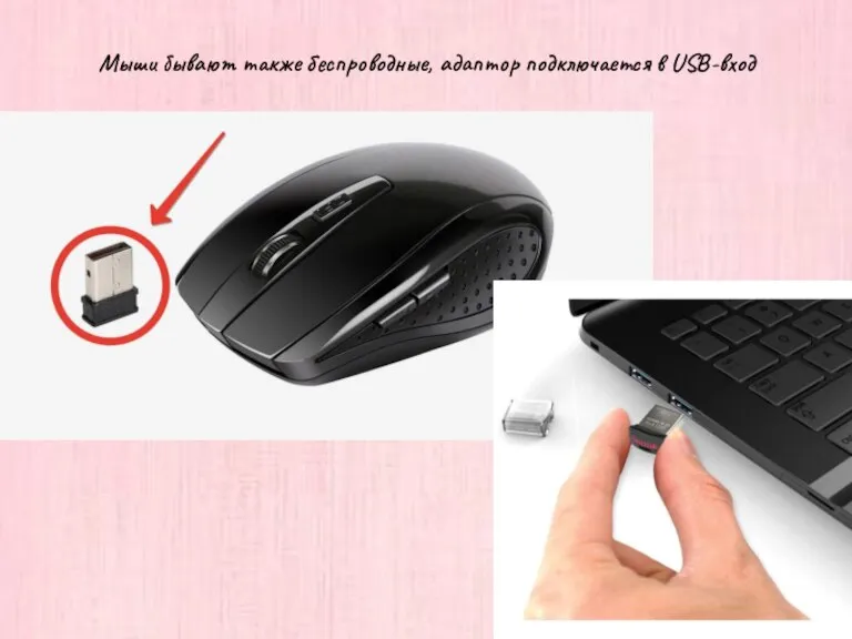 Мыши бывают также беспроводные, адаптор подключается в USB-вход